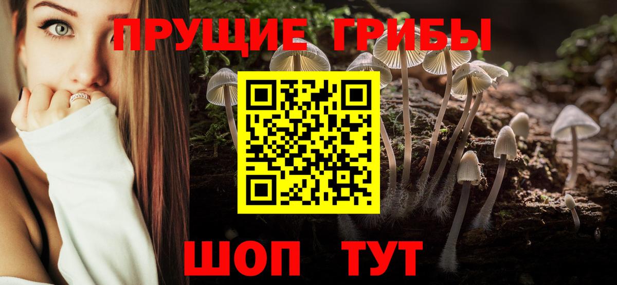 Каспийск  Псилоцибиновые грибы GOLDEN TEACHER  Вход с VPN 