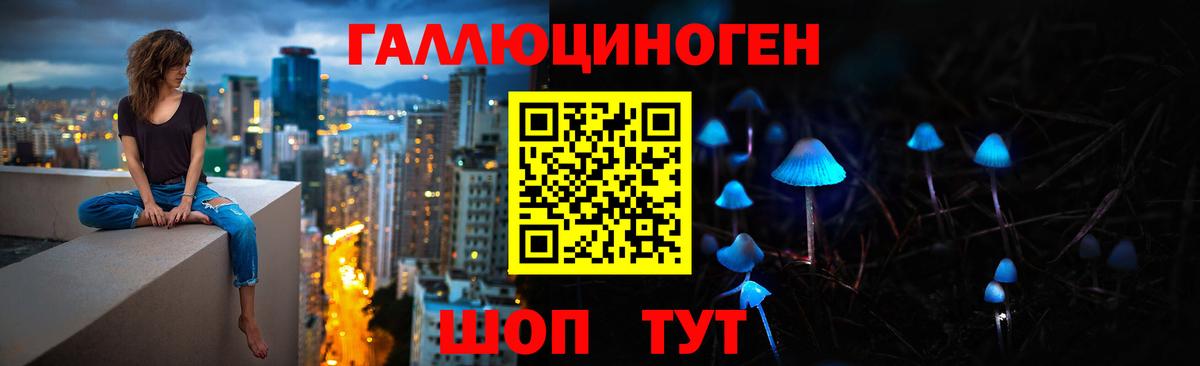 Псилоцибиновые грибы Psilocybine cubensis Каспийск